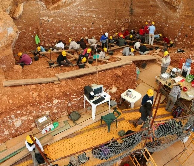 掘墓是什么意思