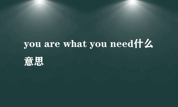 you are what you need什么意思