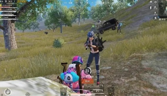 和平精英怎么救敌人