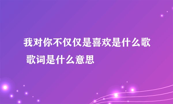 我对你不仅仅是喜欢是什么歌 歌词是什么意思