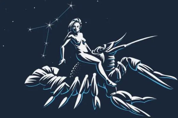 唐立淇2024年12星座运势解析