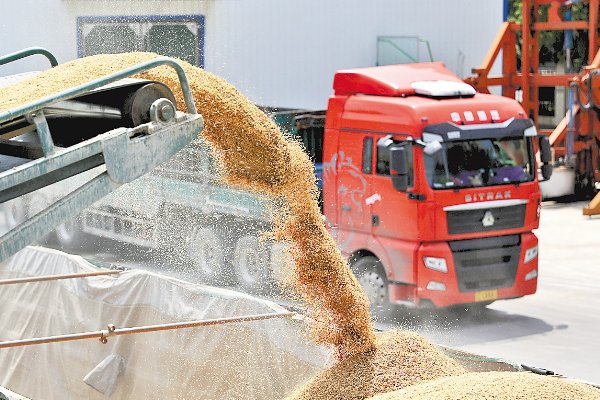 中国储备粮能吃几年