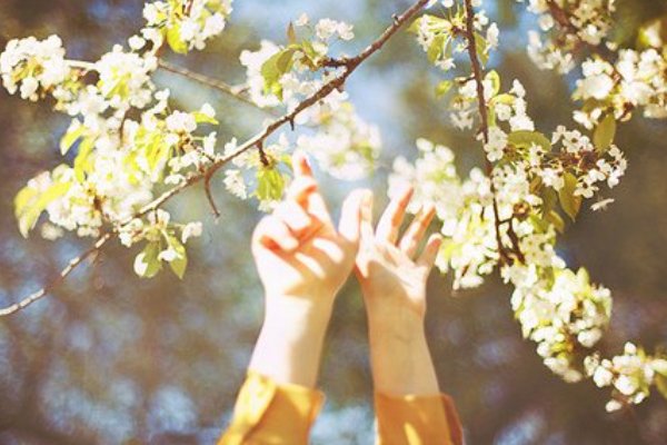 2021高考满分作文河南