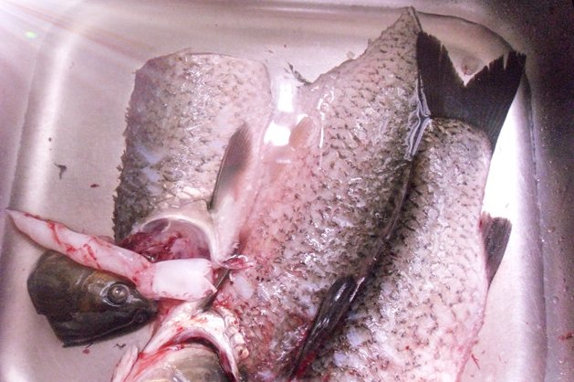 九门寨石锅鱼怎么做？