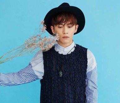 intro是什么意思？