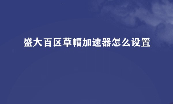 盛大百区草帽加速器怎么设置