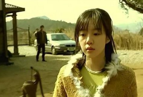 《蔷花红莲》剧情解析是什么？