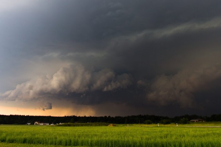 北风像狮子一样狂吼仿写句子二年级