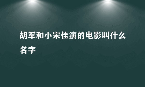 胡军和小宋佳演的电影叫什么名字