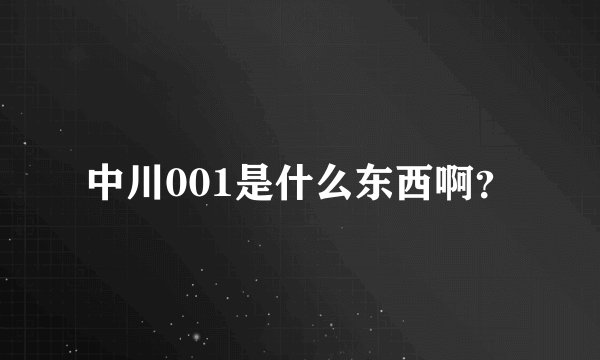 中川001是什么东西啊？