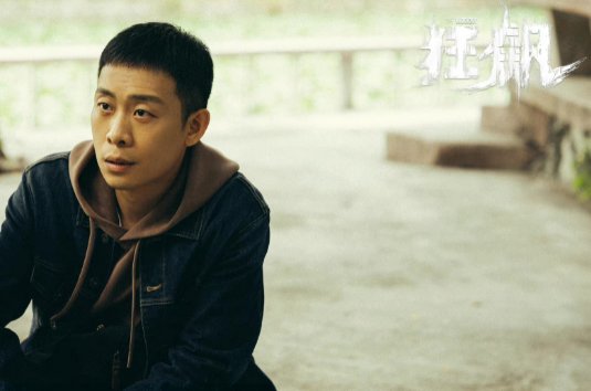 《狂飙》这部剧是根据谁的原型改编的？