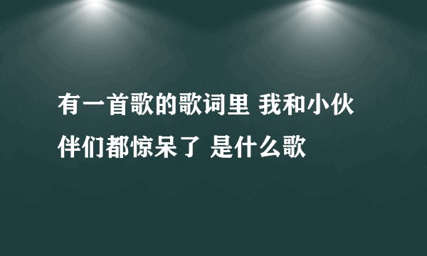 有一首歌的歌词里 我和小伙伴们都惊呆了 是什么歌