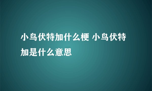 小鸟伏特加什么梗 小鸟伏特加是什么意思
