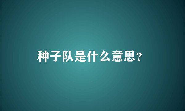 种子队是什么意思？