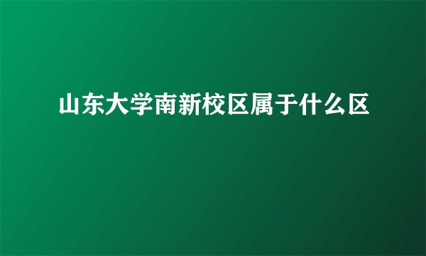 山东大学南新校区属于什么区