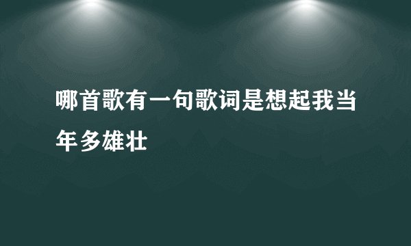 哪首歌有一句歌词是想起我当年多雄壮