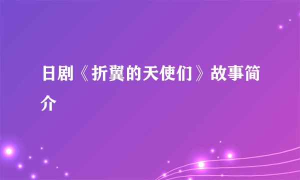 日剧《折翼的天使们》故事简介
