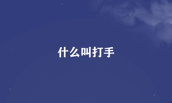 什么叫打手