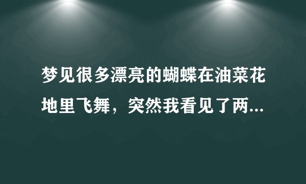 梦见很多漂亮的蝴蝶在油菜花地里飞舞，突然我看见了两只很大很大的蝴蝶，被我抓住了，一只黑色的，一只彩