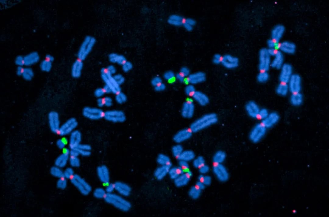 历时22年，完整人类基因组首次被破译，这有哪些重大意义？