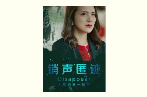 销声匿迹电影剧情介绍