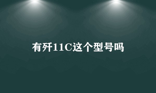 有歼11C这个型号吗