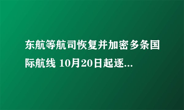 东航等航司恢复并加密多条国际航线 10月20日起逐步开始执行