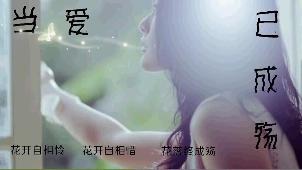 爱已成殇的介绍