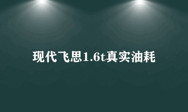 现代飞思1.6t真实油耗