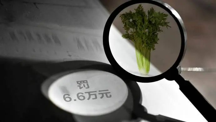 榆林承认芹菜案过罚不当！这件事的原委如何？