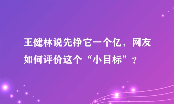 王健林说先挣它一个亿，网友如何评价这个“小目标”？