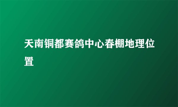 天南铜都赛鸽中心春棚地理位置