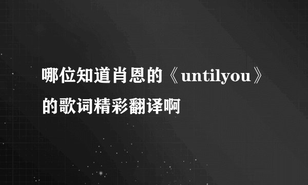 哪位知道肖恩的《untilyou》的歌词精彩翻译啊