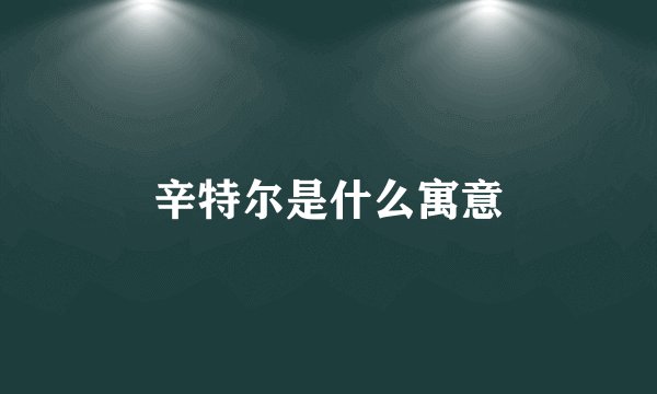 辛特尔是什么寓意