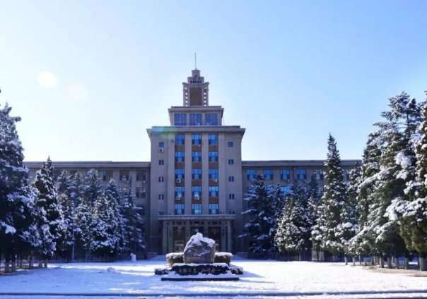 东北大学教务处电话