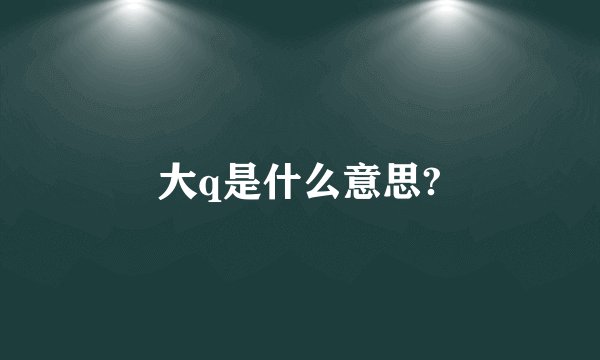 大q是什么意思?