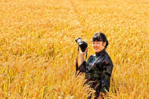 风吹起稻浪的优美短句