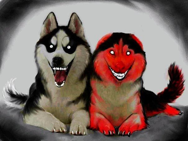 求这张恐怖微笑狗图片高清大原图