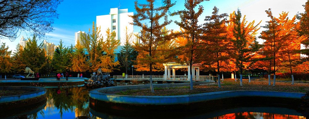 辽东学院的寝室条件好吗？