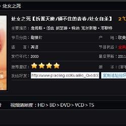 飘零影院的网站特色