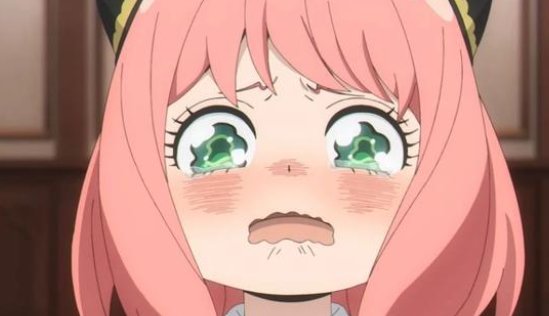 如何评价《间谍过家家》第七集?这一集有哪些看点?