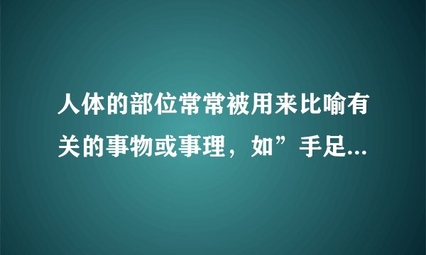 人体的部位常常被用来比喻有关的事物或事理，如”手足一兄弟”，请你说说下列部位各表示什么意思。手腕—