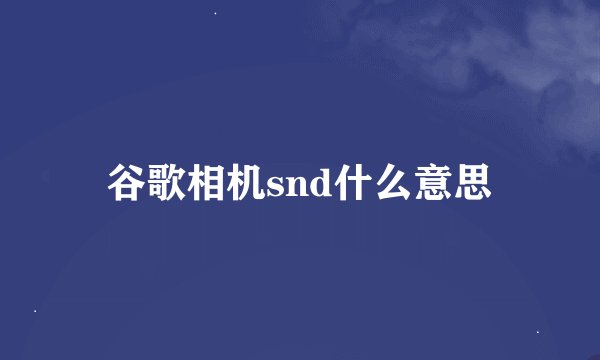 谷歌相机snd什么意思