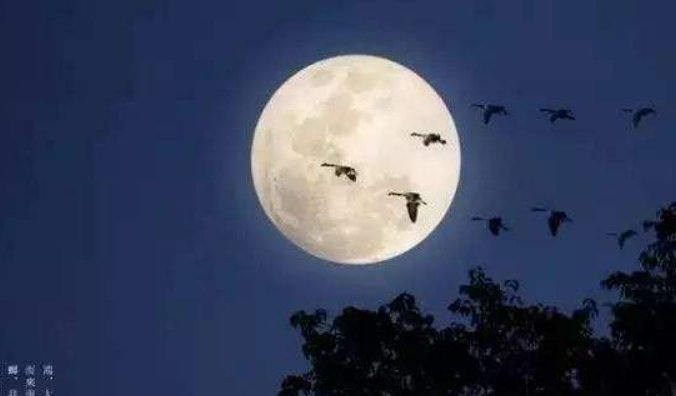 欲上青天揽明月下一句