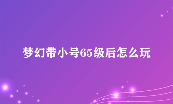 梦幻带小号65级后怎么玩
