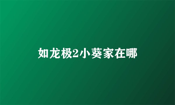 如龙极2小葵家在哪