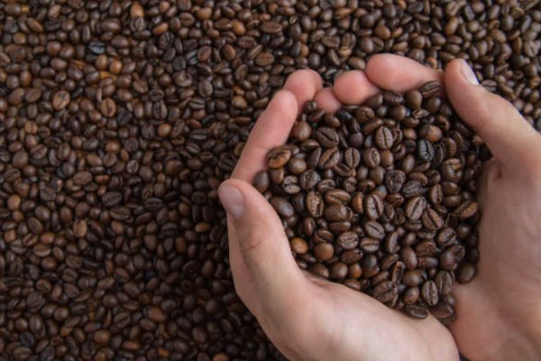 世界十大顶级咖啡豆