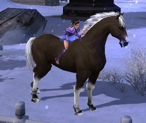 剑网三各个主城2w金的马都是什么样子的？还有什么办法可以获得漂亮的马