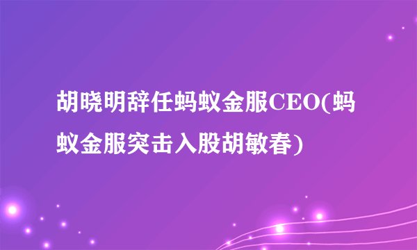 胡晓明辞任蚂蚁金服CEO(蚂蚁金服突击入股胡敏春)