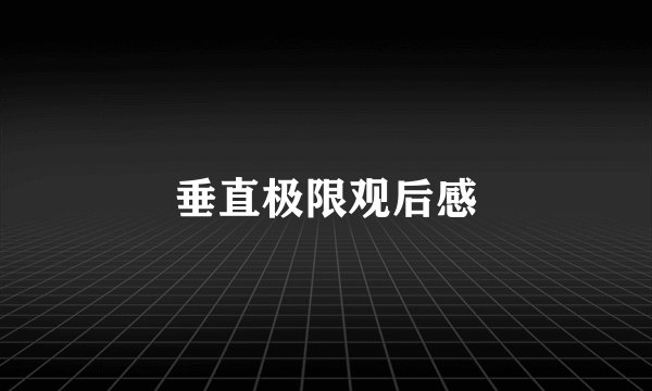 垂直极限观后感